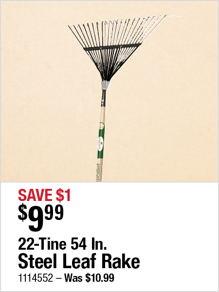 22-Tine 54 In. Steel Leaf Rake